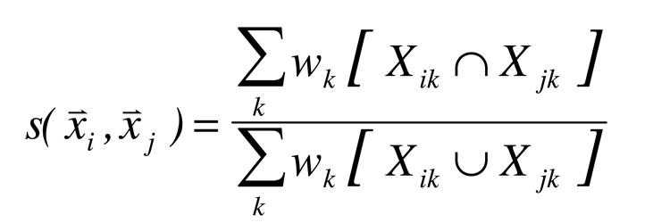 Set-theoretical Similarity Function